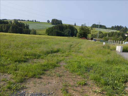 Prodej p.p.č. 320/15